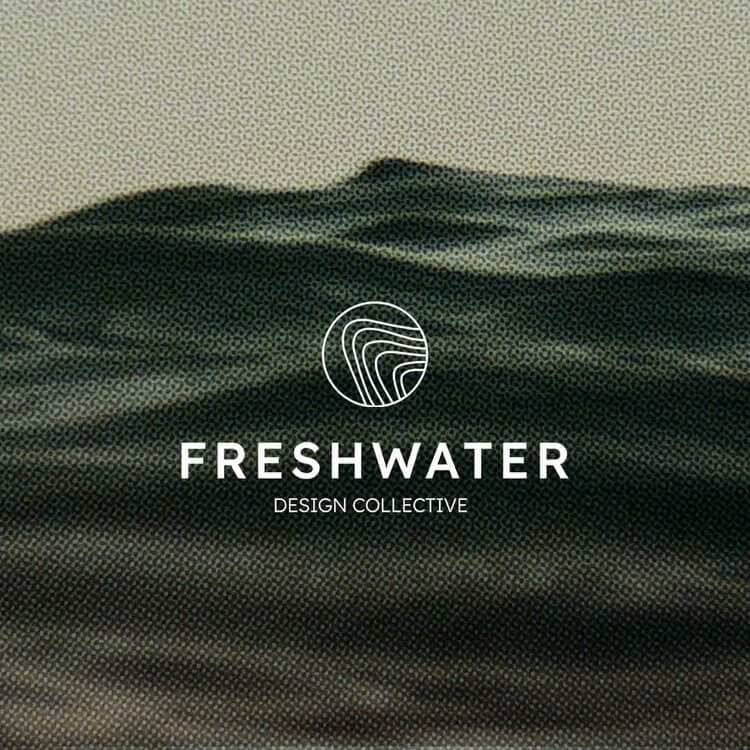 Freshwater - Shopify dev agency